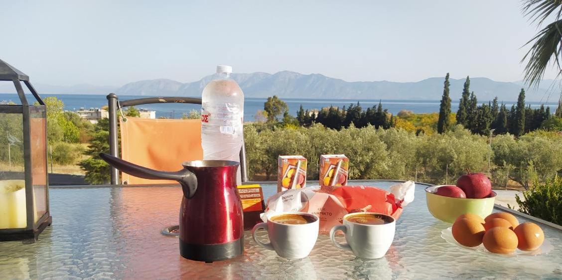 View Διαμερισμα Villa Loukissia Екстериор снимка